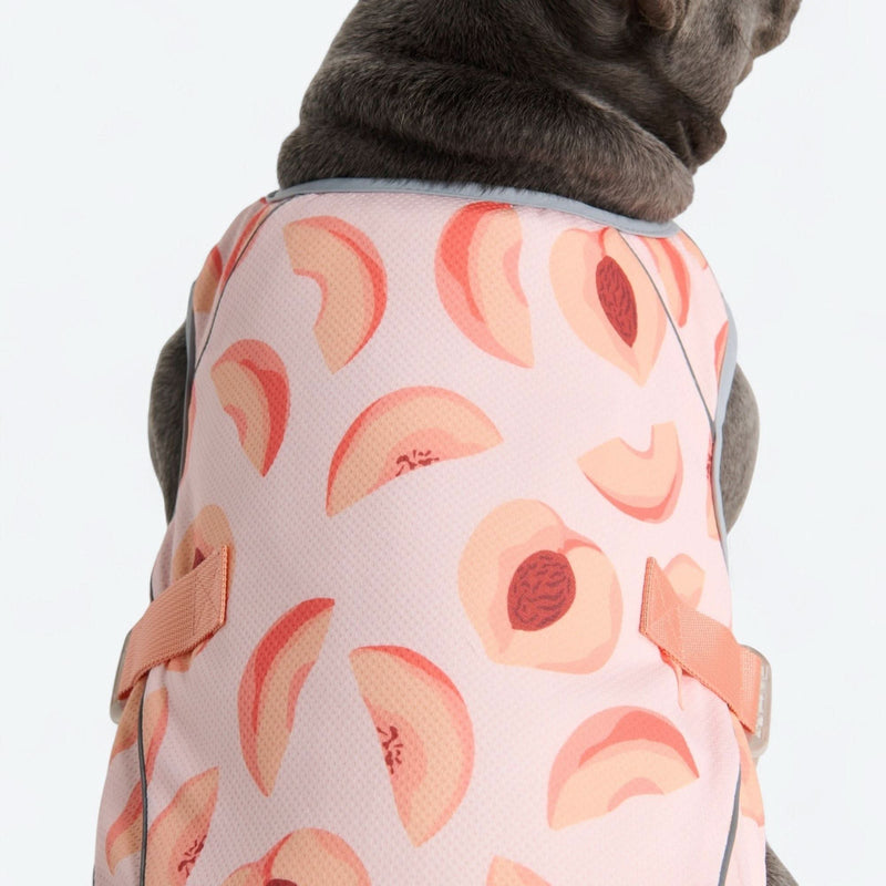 Dog Cooling Vest - Peaches
