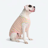 Stripe Shirt - Pink Yellow