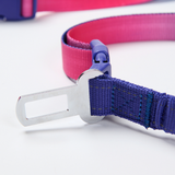 Snow Cone Neoprene Leash