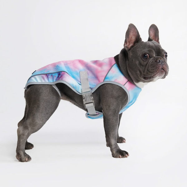 Snow cone Cooling Vest