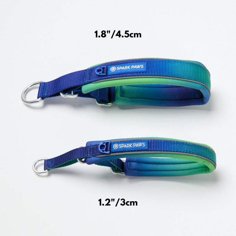 Martingale Collar - Lime Wave