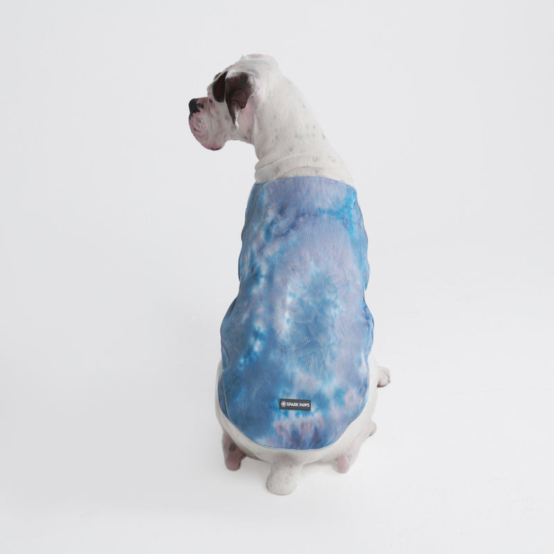 Dog Cooling Vest - Ice Blue