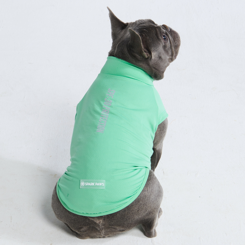 Sunblock Dog T-Shirt - Mint
