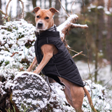 Black Warmshield Jacket||size:S,M,L,XL,2XL,3XL,4XL,5XL