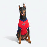 Football Mesh Jersey - Red