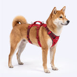 Red Gradient Escape Proof||size:2