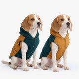 Green and Orange Reversible Jacket||size:XL