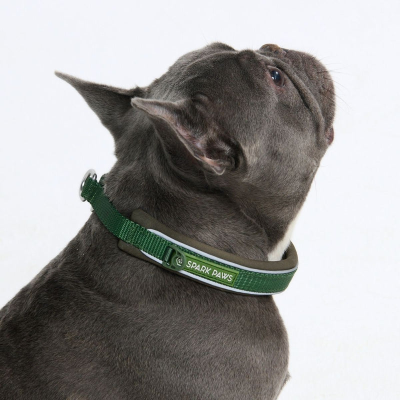 Green Martingale Collar||size:A,B