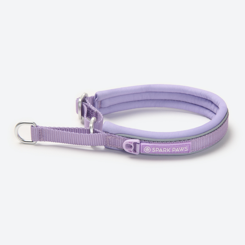 Lilac Martingale Collar||size:A,B