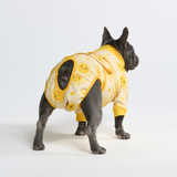 Sunshine Surgical Suit||size:S,M,L,XL,2XL,3XL,4XL,5XL