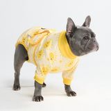 Sunshine Surgical Suit||size:S,M,L,XL,2XL,3XL,4XL,5XL