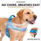 Teal Apricot Grab and Go||size:1,2,3,4,5,6