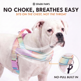 Pastel Icing Grab and Go||size:1,2,3,4,5,6