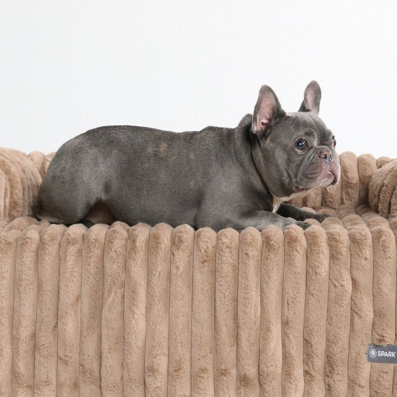 Luxury Couch Cover Dog Bed - Brown