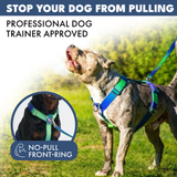 Lime Wave Harness||size:S,M,L