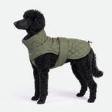 Green Quilted Winter Jacket||size:2XL