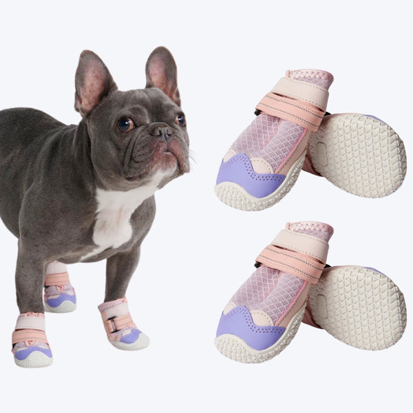 Pink Purple Shoes