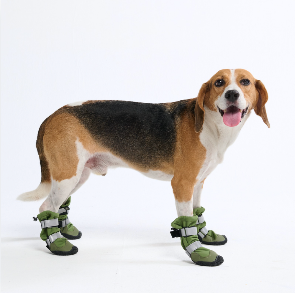 Christmas dog boots online