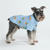 Dog Clothes