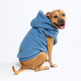 Teddy Sherpa Dog Sweater - Blue