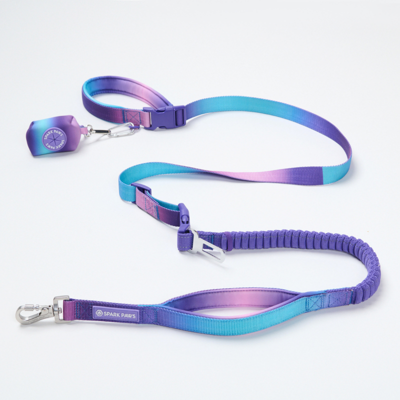 90s Retro Neoprene Leash