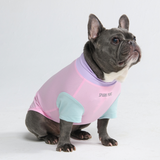 Gelato Shirt||size:S,M,L,XL,2XL,3XL,4XL,5XL