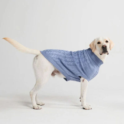 Activewear Walk