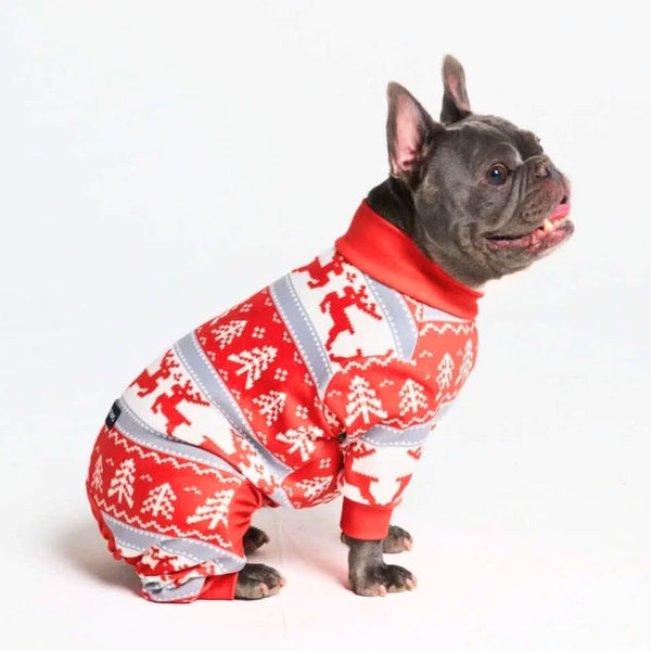 Dog Christmas Pajama - Winter Wonderland