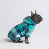 Velvet Dog Hoodie - Turquoise Checkered