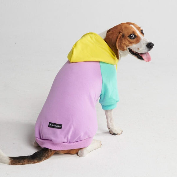 Purple Turquoise Yellow Dog Hoodie