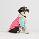 Pink Turquoise Cream Color Block Dog Hoodie