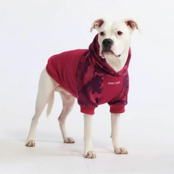 Fuchsia Camo Dog Hoodie