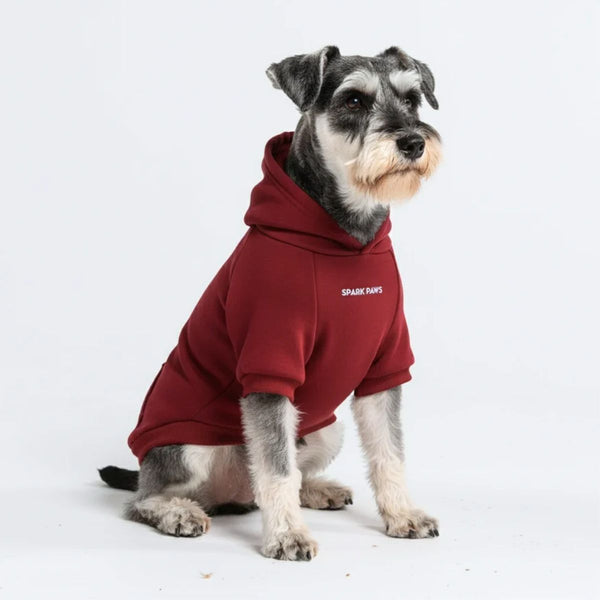 Essential Dog Hoodie - Burgundy