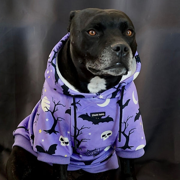 Halloween Dog Hoodie - Purple