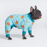 Dog Pajamas