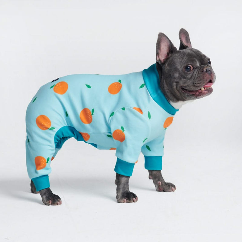 Dog Pajamas