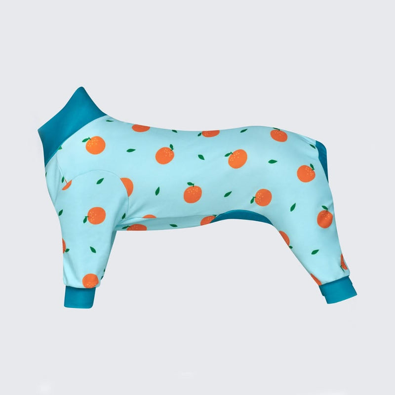 Dog Pajamas