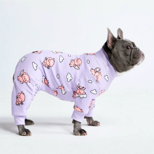 When Pigs Fly PJ
