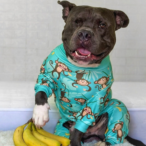 Dog Pajama - Monkey Business