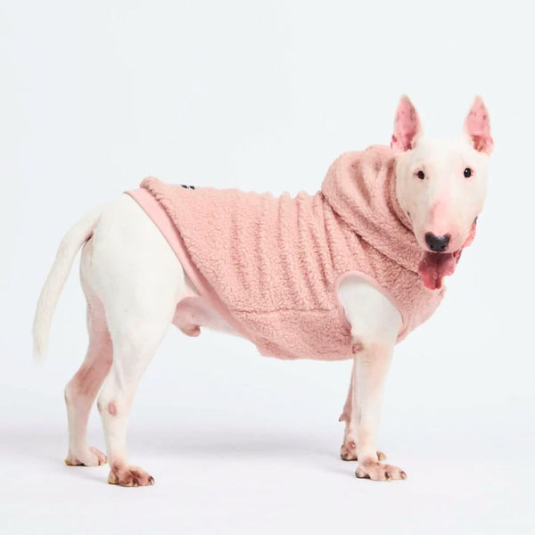 Teddy Sherpa Dog Jacket - Pink