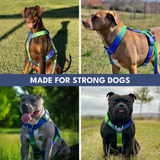 Lime Wave Harness||size:S,M,L