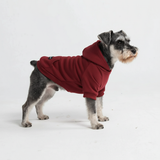 Essential Dog Hoodie - Burgundy