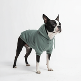 Essential Dog Hoodie - Teal