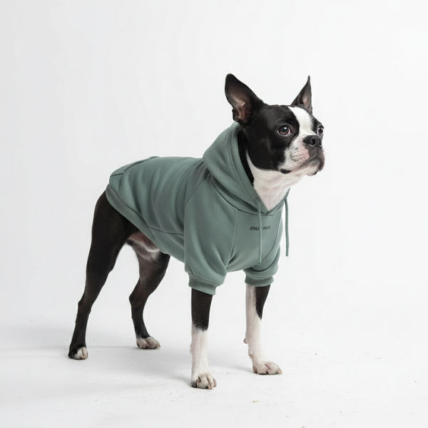 Essential Dog Hoodie - Teal