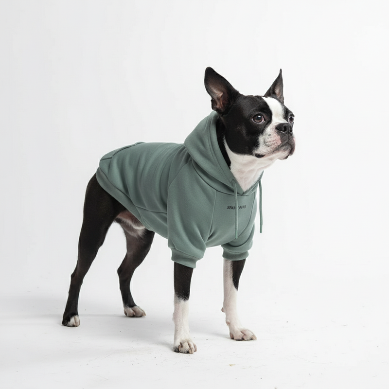 Essential Dog Hoodie - Teal