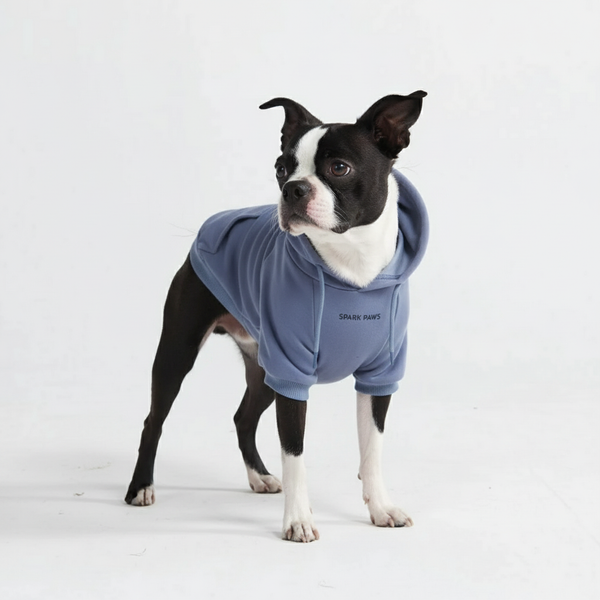 Essential Dog Hoodie - Slate Blue