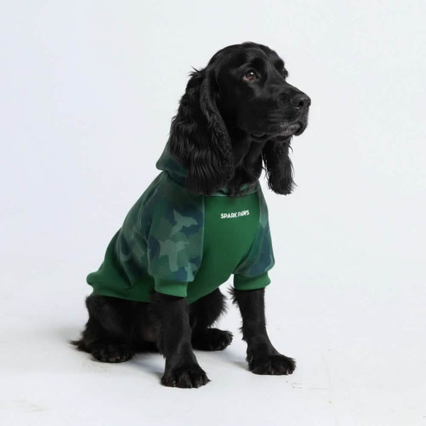Forest Camo Dog Hoodie