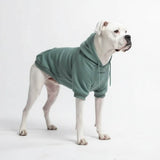 Essential Dog Hoodie - Teal
