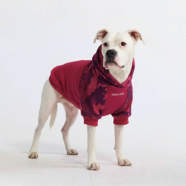 Fuchsia Camo Dog Hoodie