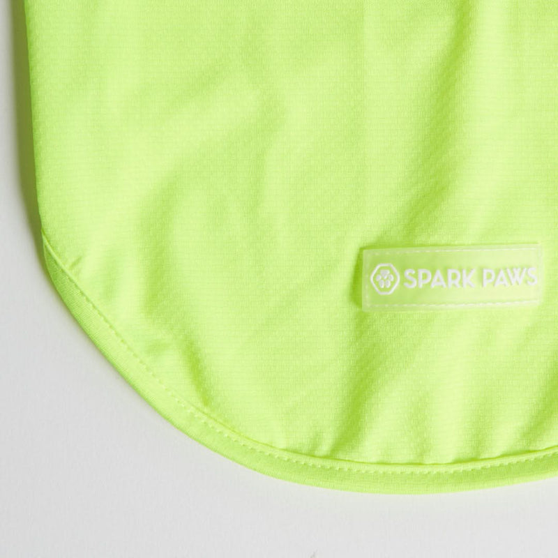 Sunblock Dog T-Shirt - Neon